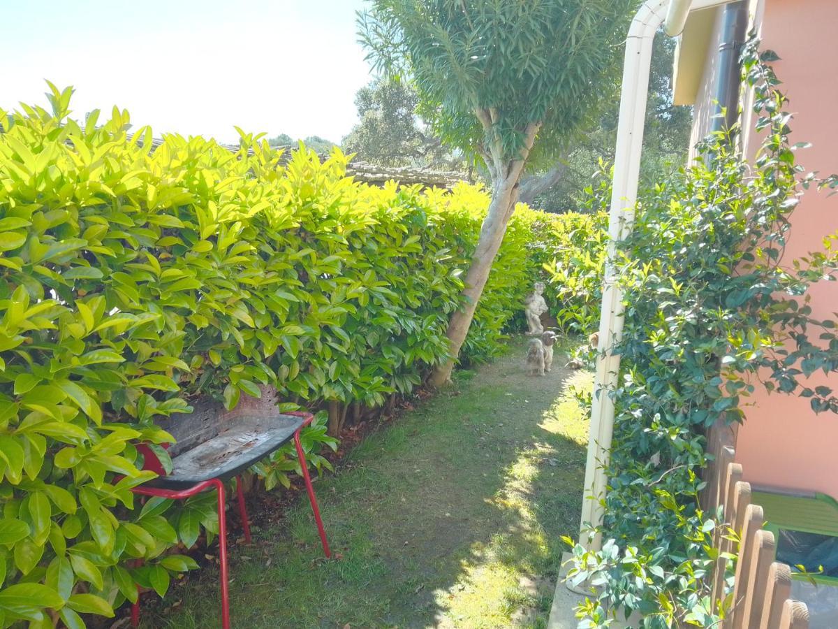 Bilo Noel Appartement Olbia Buitenkant foto